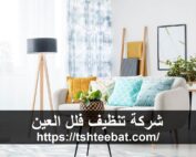 شركة تنظيف فلل العين