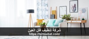 شركة تنظيف فلل العين |0507653527| تنظيف وتعقيم