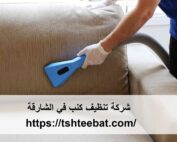 شركة تنظيف كنب في الشارقة