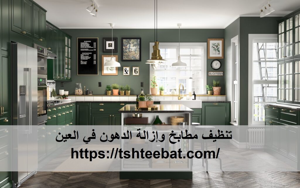 تنظيف مطابخ وإزالة الدهون في العين