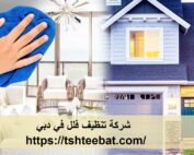 شركة تنظيف فلل في دبي