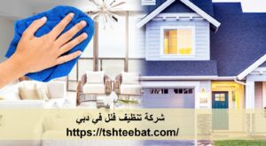 شركة تنظيف فلل في دبي |0507653527| تنظيف الفلل
