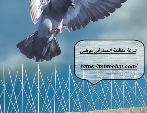 شركة مكافحة الحمام في ابوظبي |0507653527| طرد الطيور